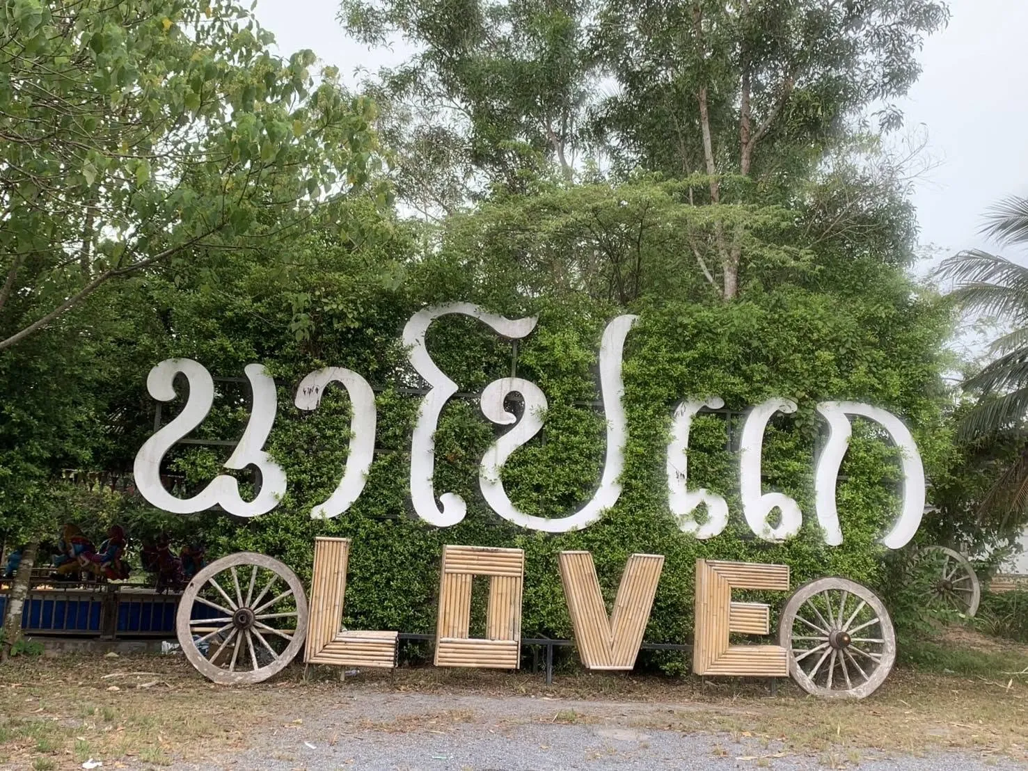 นาโปแก