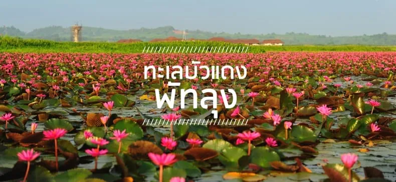 ชุมชนบ้านทะเลน้อย